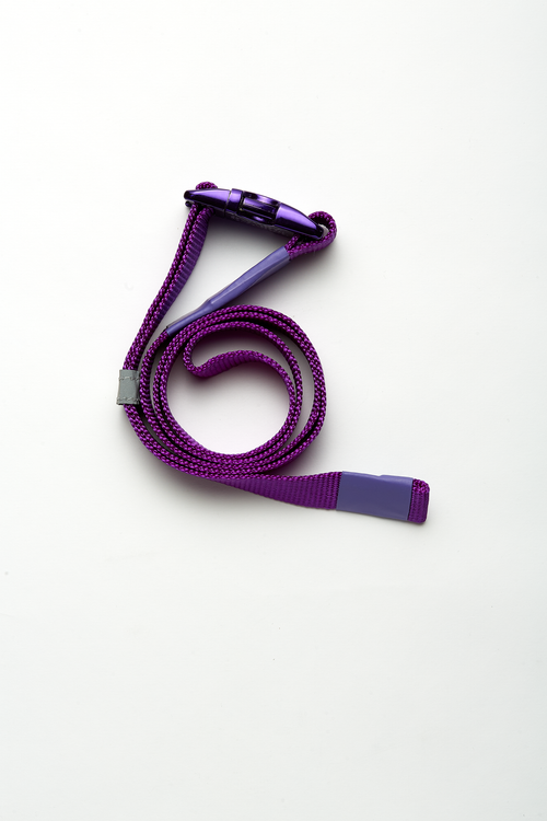Clip Belt 2.2 Purple ACCESSORIES | BELT THE CELECT   