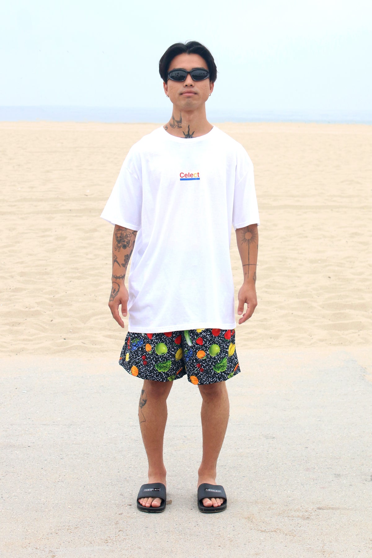 Fruits and Veggies T KNITS | GRAPHIC THE CELECT MENS