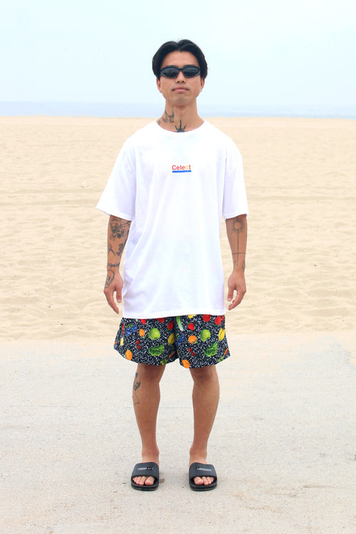 Fruits and Veggies T KNITS | GRAPHIC THE CELECT MENS