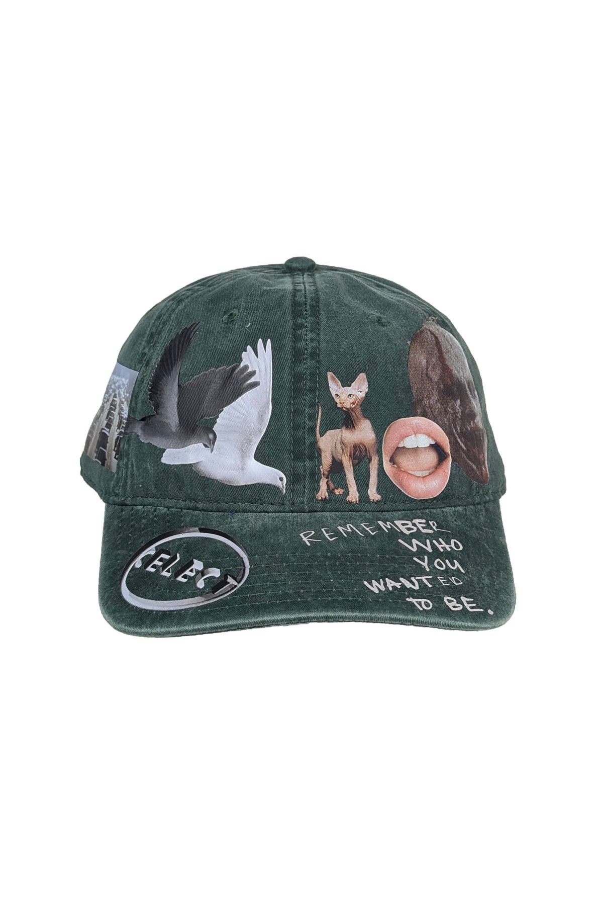 Joker Dad Cap Green ACCESSORIES | HAT THE CELECT
