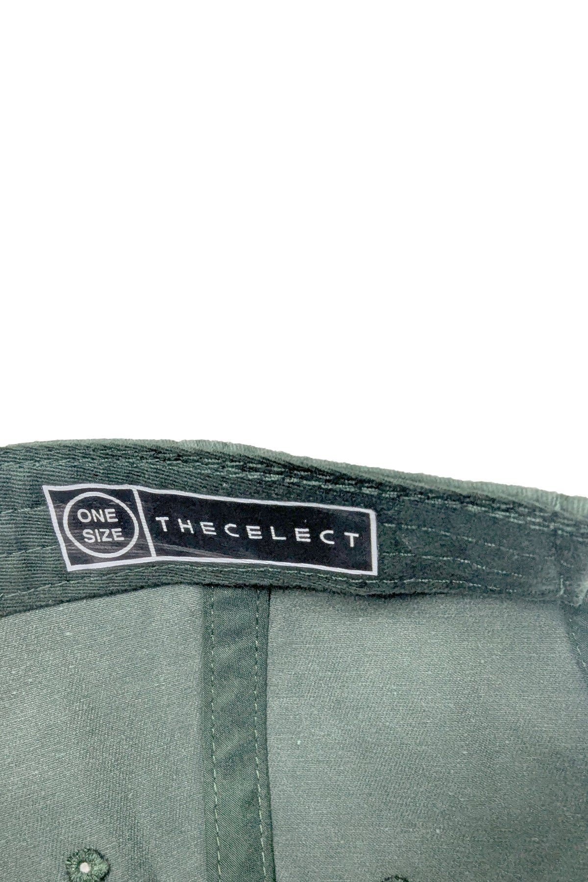 Joker Dad Cap Green ACCESSORIES | HAT THE CELECT