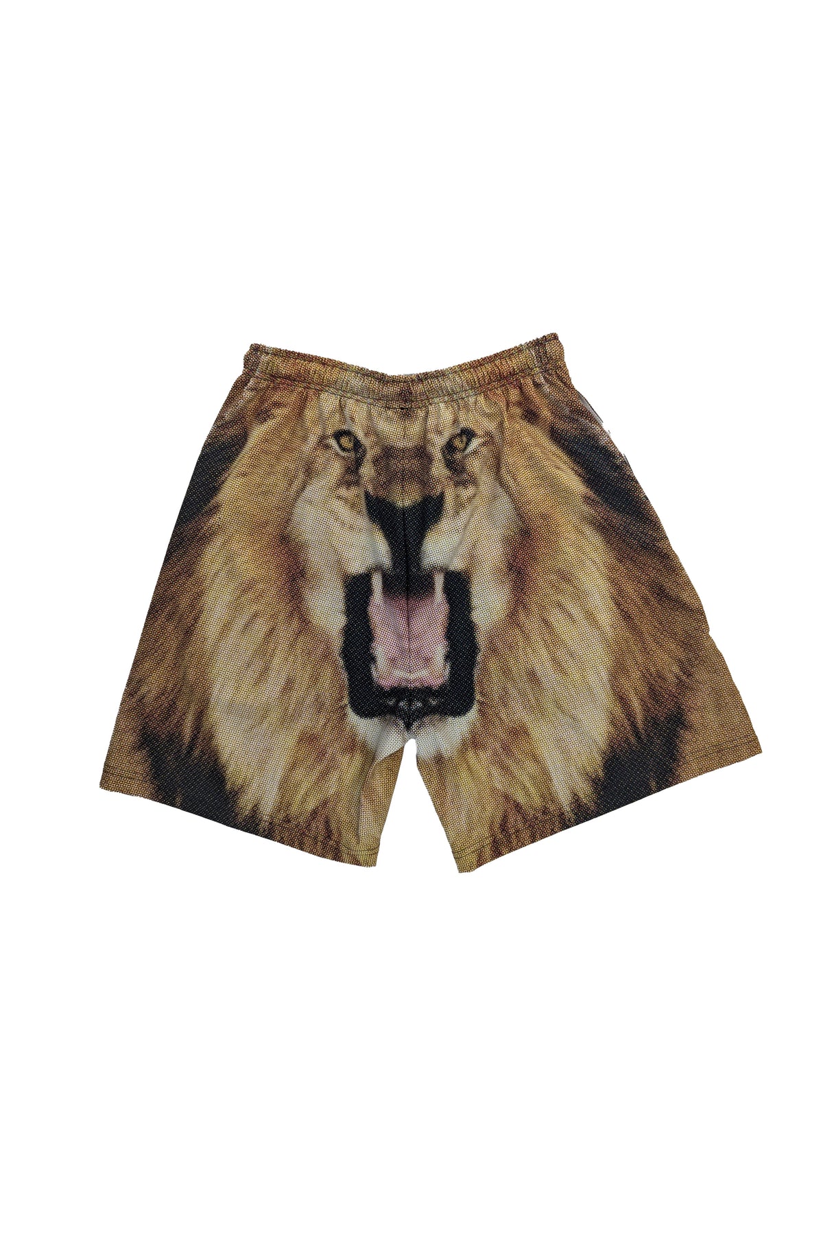 Lion Short SHORTS THE CELECT MENS