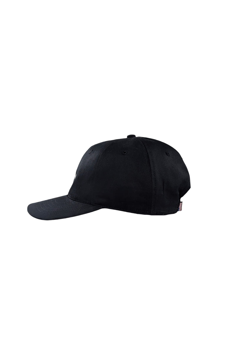 USA DAD HAT ACCESSORIES | HAT THE CELECT