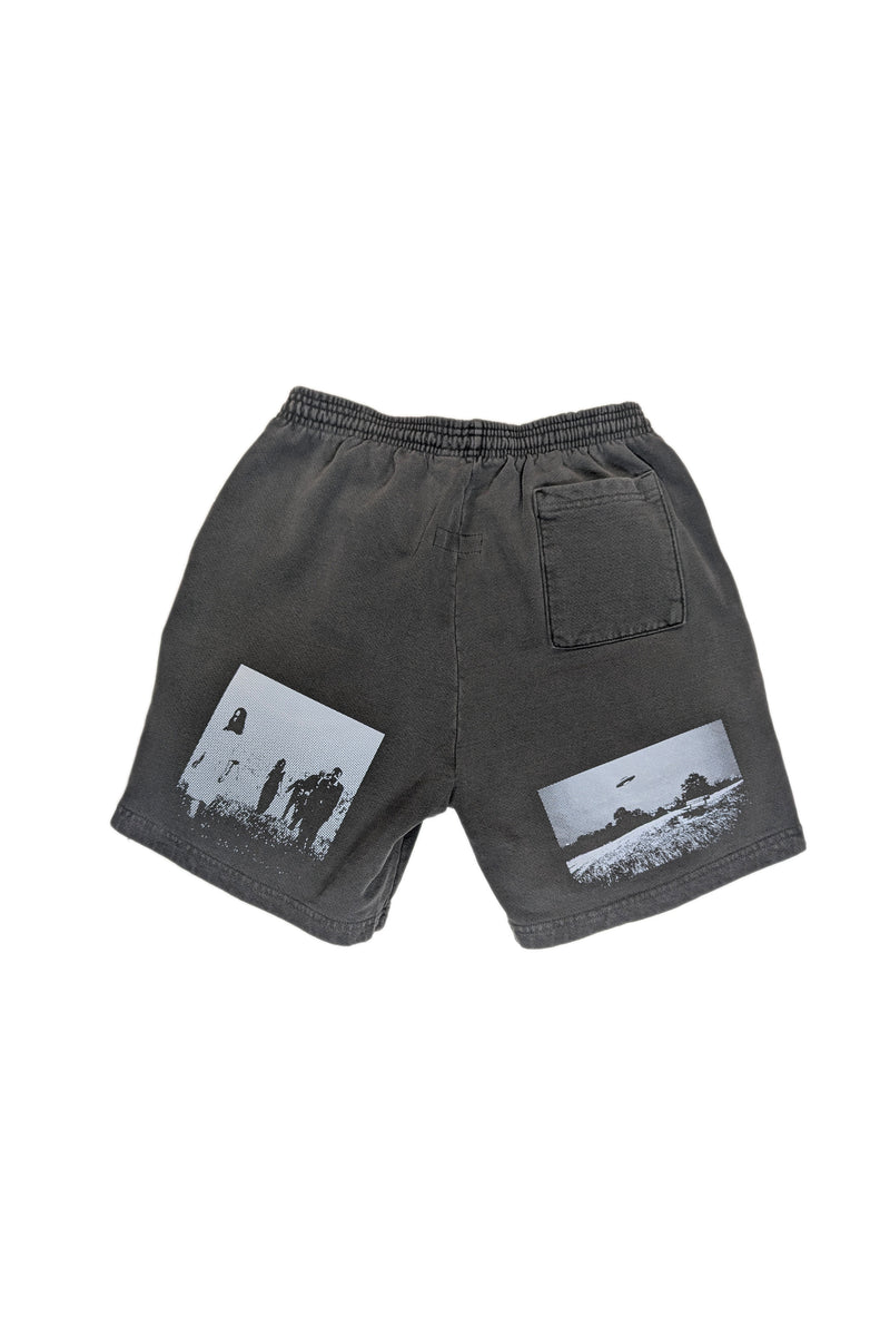 Perspective short SHORTS THE CELECT