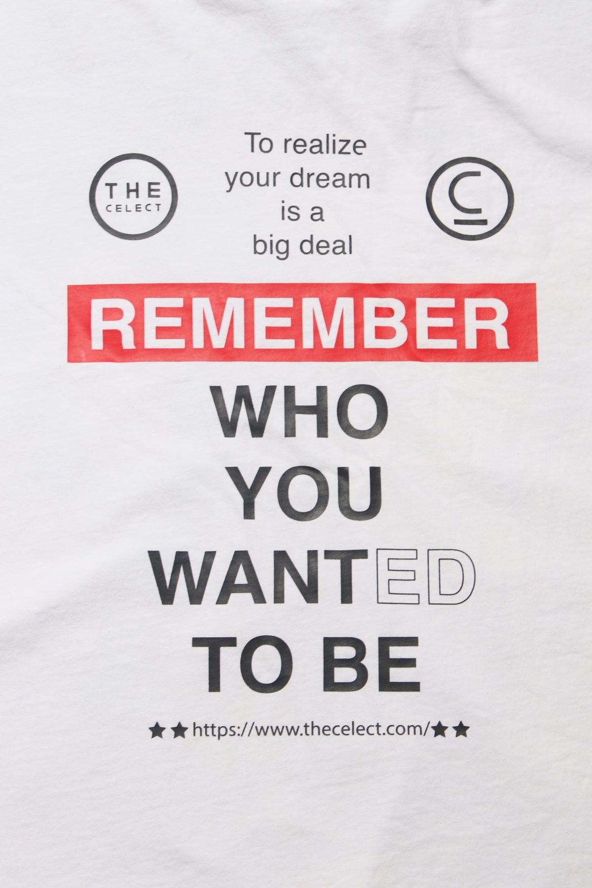 Remember Huge T KNITS | GRAPHIC THE CELECT MENS