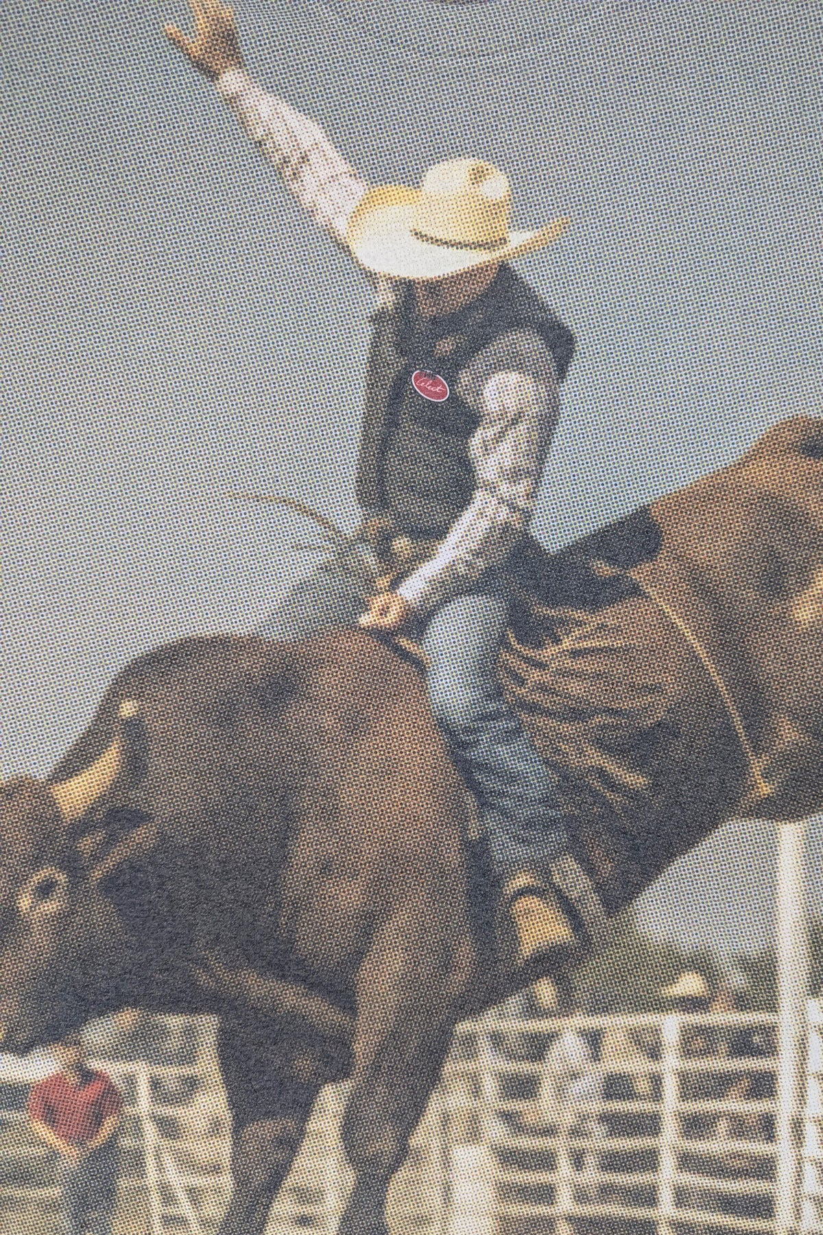 RODEO T KNITS | GRAPHIC THE CELECT MENS