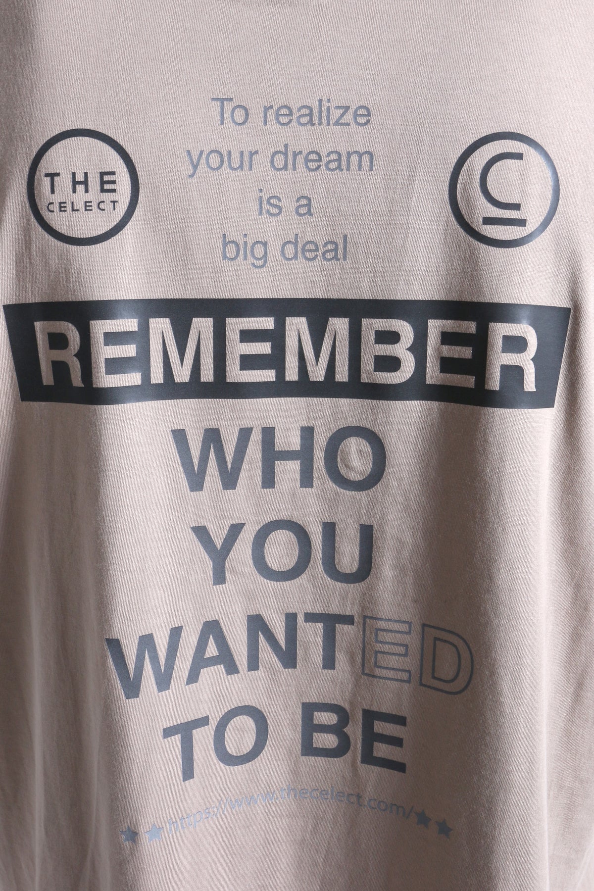 Stubby Huge T Beige KNITS | GRAPHIC THE CELECT MENS