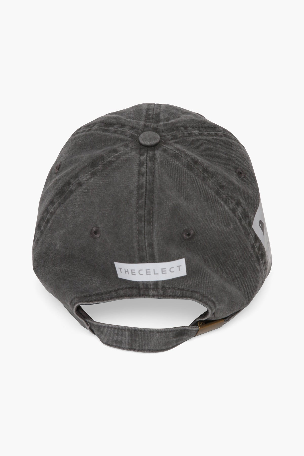 Perspective Dad Cap ACCESSORIES | HAT THE CELECT