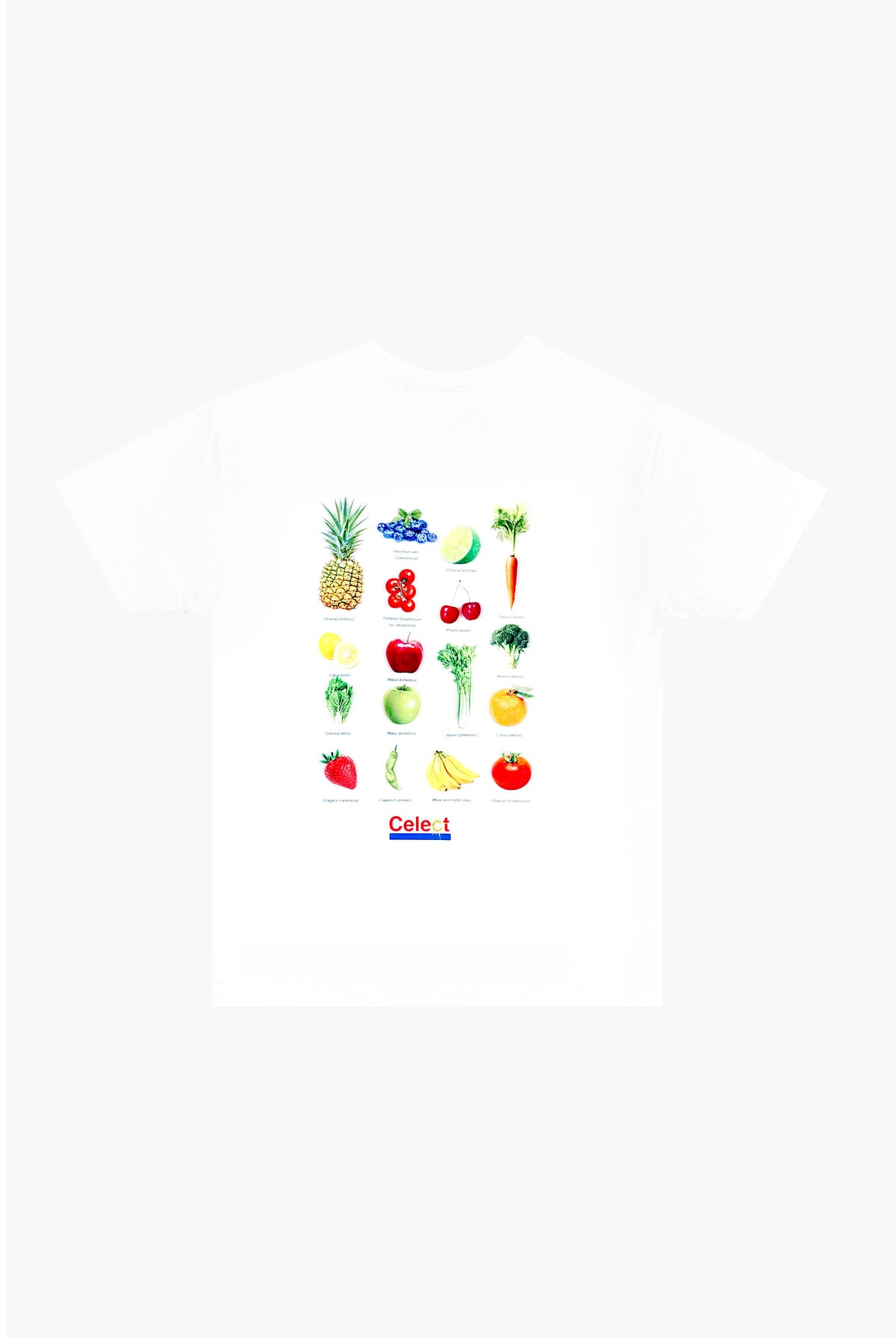 Fruits and Veggies T KNITS | GRAPHIC THE CELECT MENS
