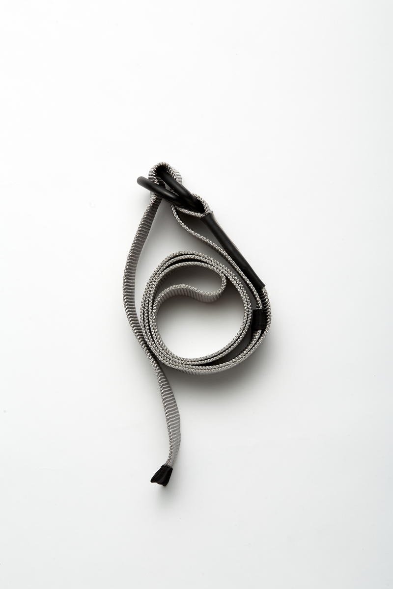 Double D Belt ACCESSORIES | BELT THE CELECT   